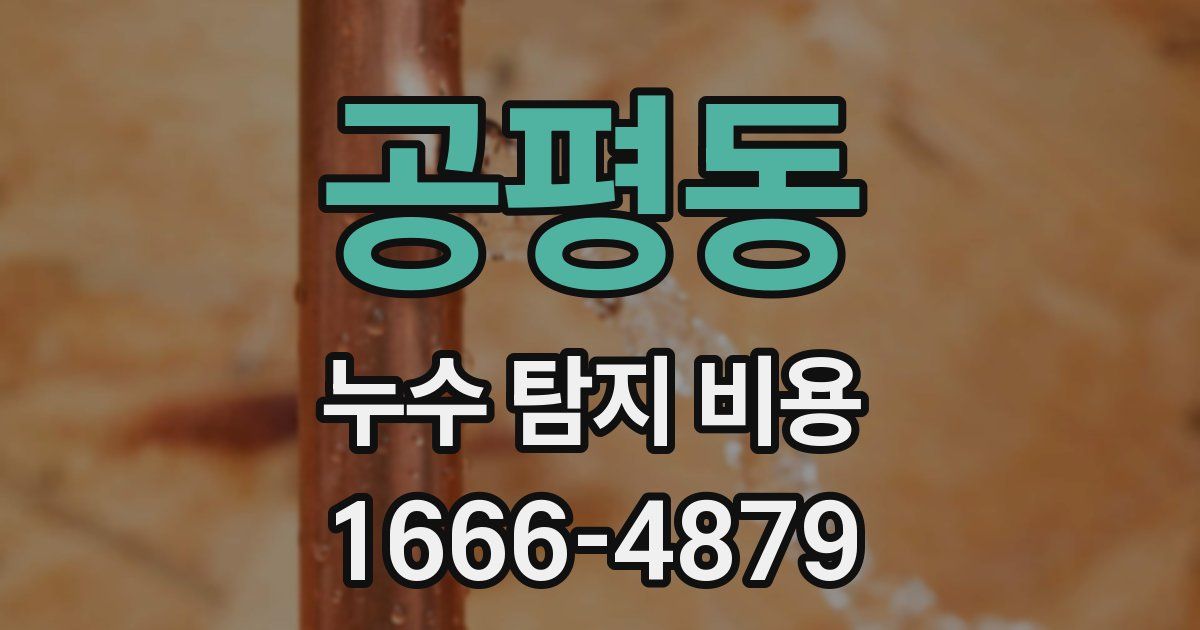공평동 누수 탐지 비용