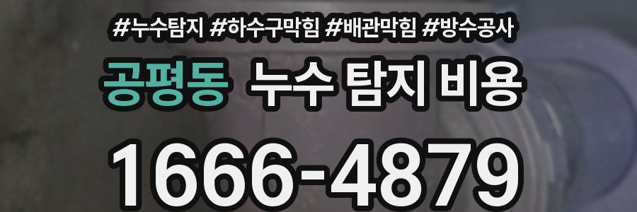 공평동 누수 탐지 비용