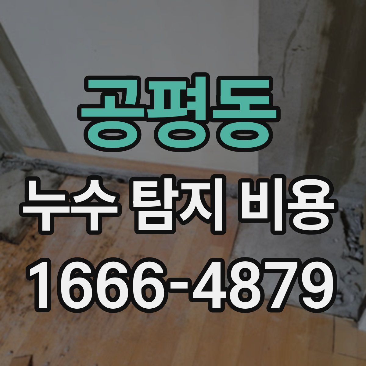 공평동 누수 탐지 비용