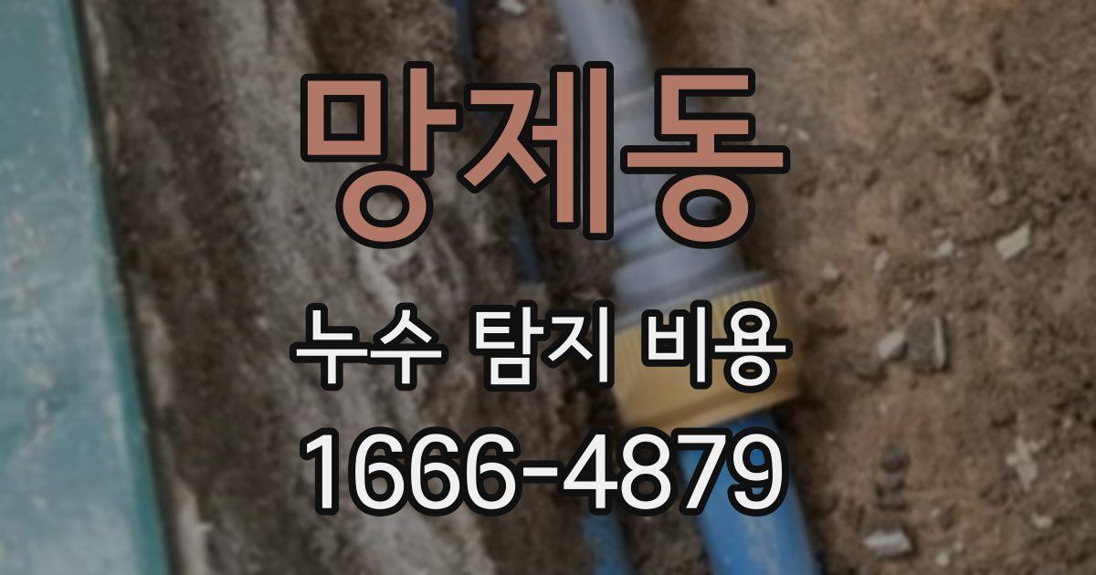 망제동 누수 탐지 비용