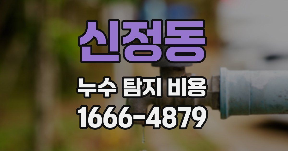 신정동 누수 탐지 비용