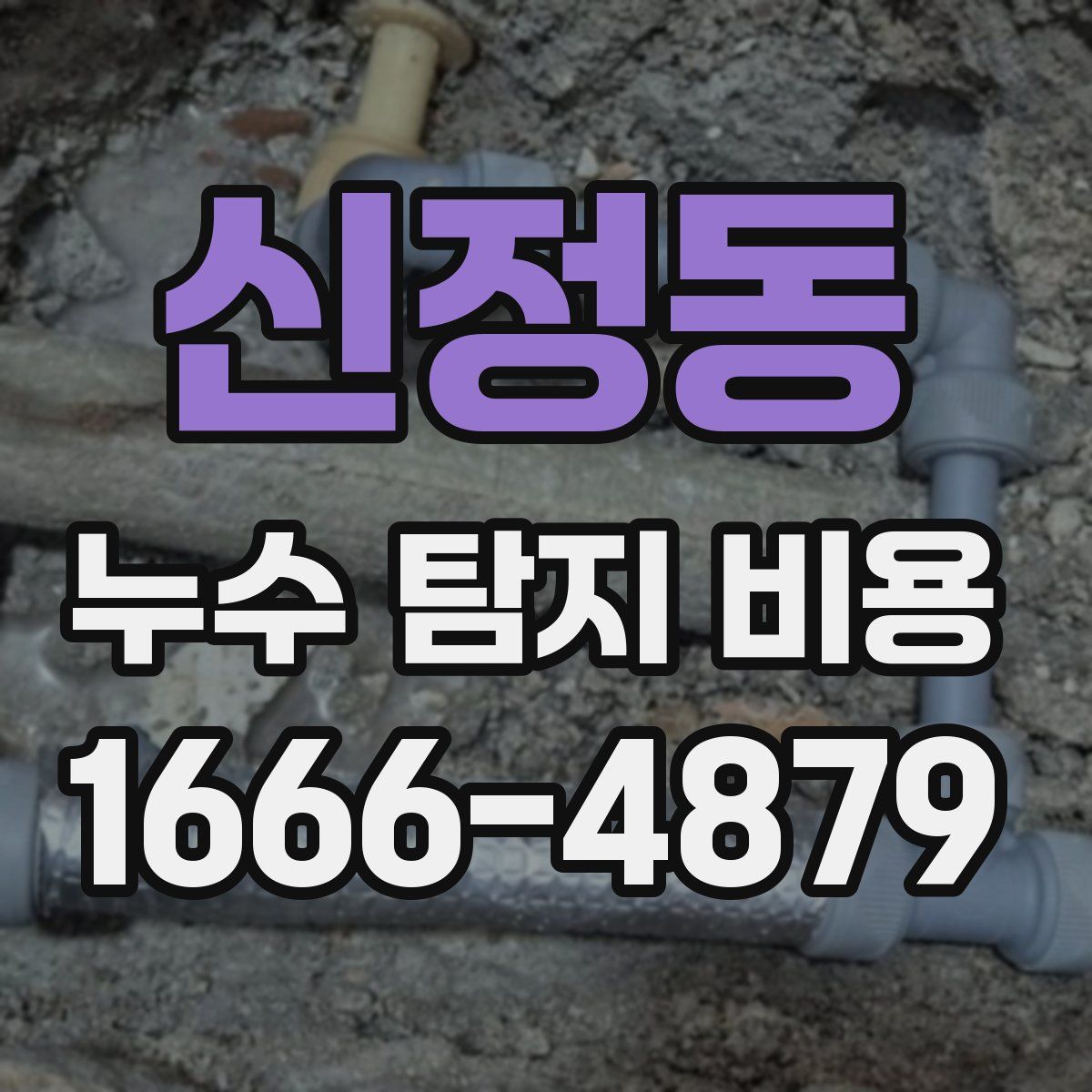 신정동 누수 탐지 비용