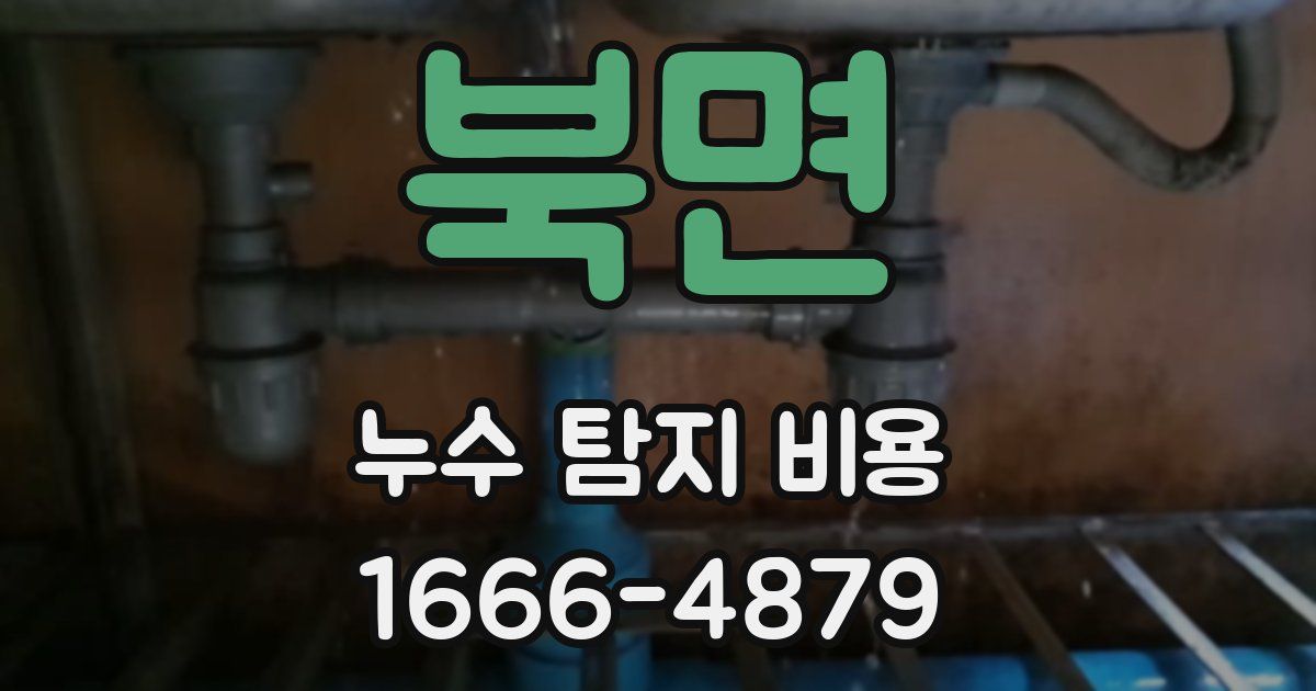 북면 누수 탐지 비용