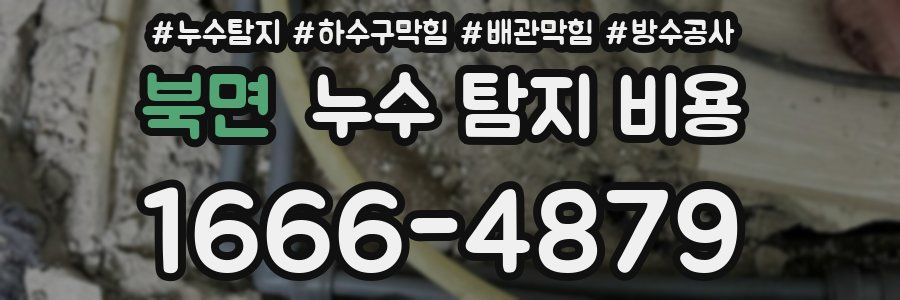 북면 누수 탐지 비용