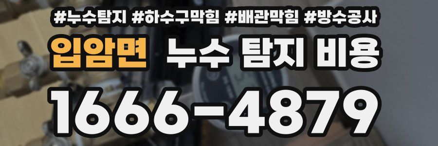 입암면 누수 탐지 비용