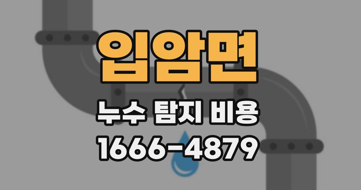 입암면 누수 탐지 비용