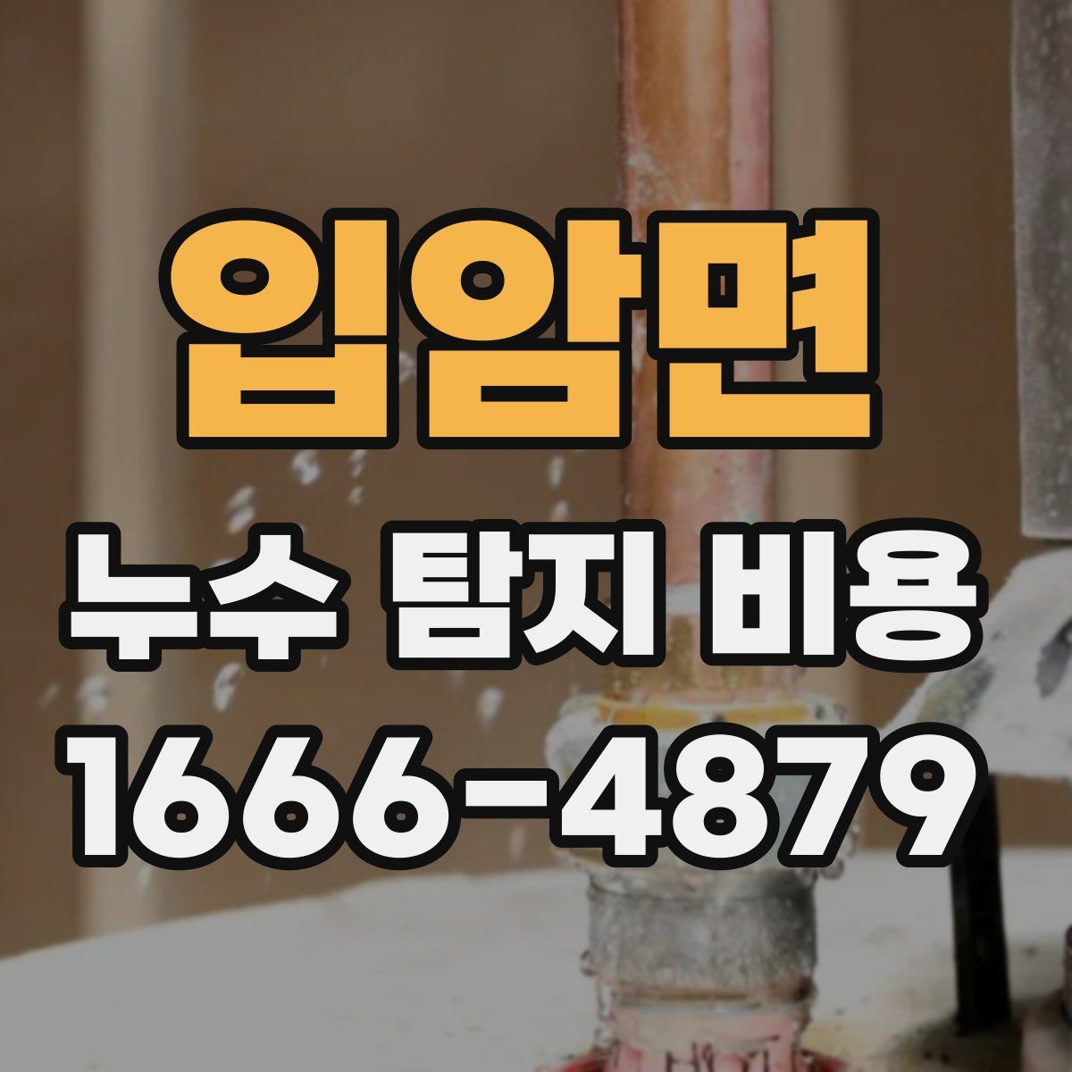입암면 누수 탐지 비용