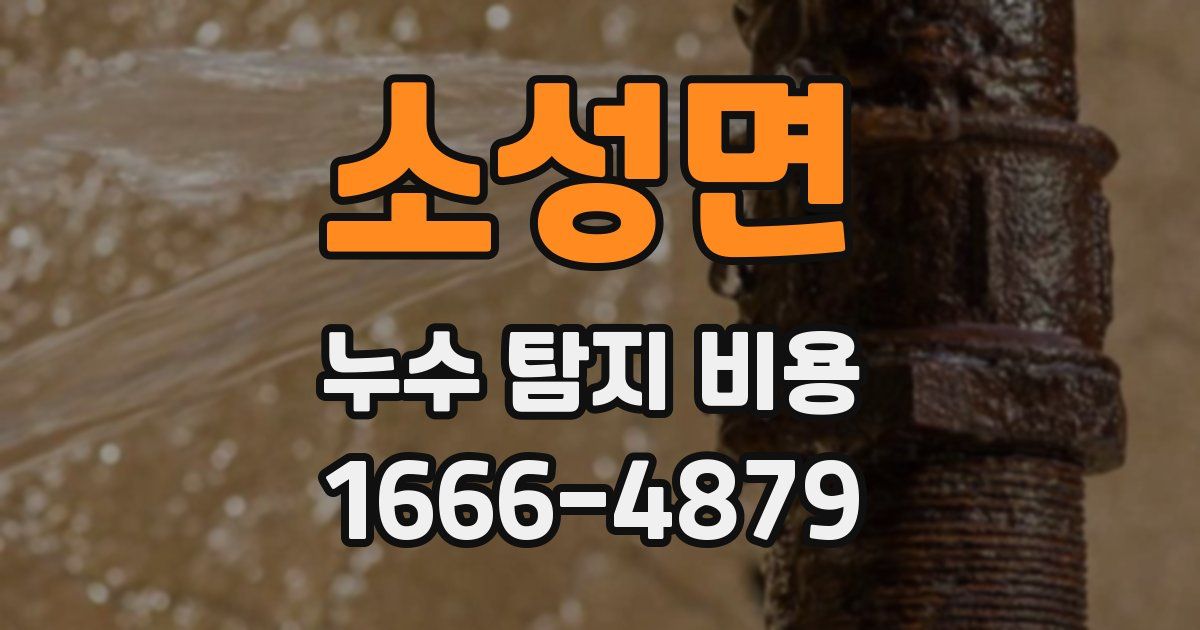 소성면 누수 탐지 비용