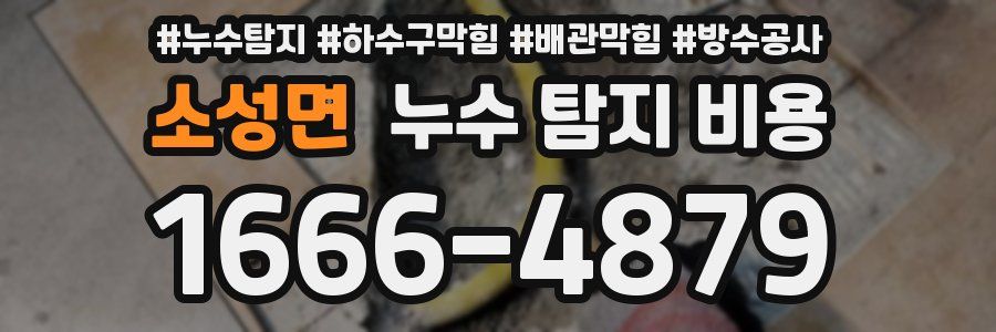 소성면 누수 탐지 비용