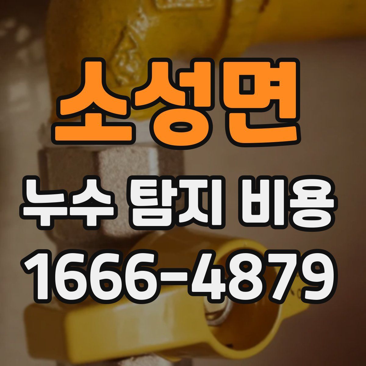 소성면 누수 탐지 비용