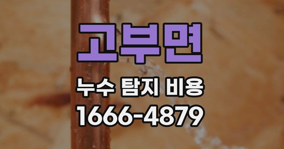 고부면 누수 탐지 비용