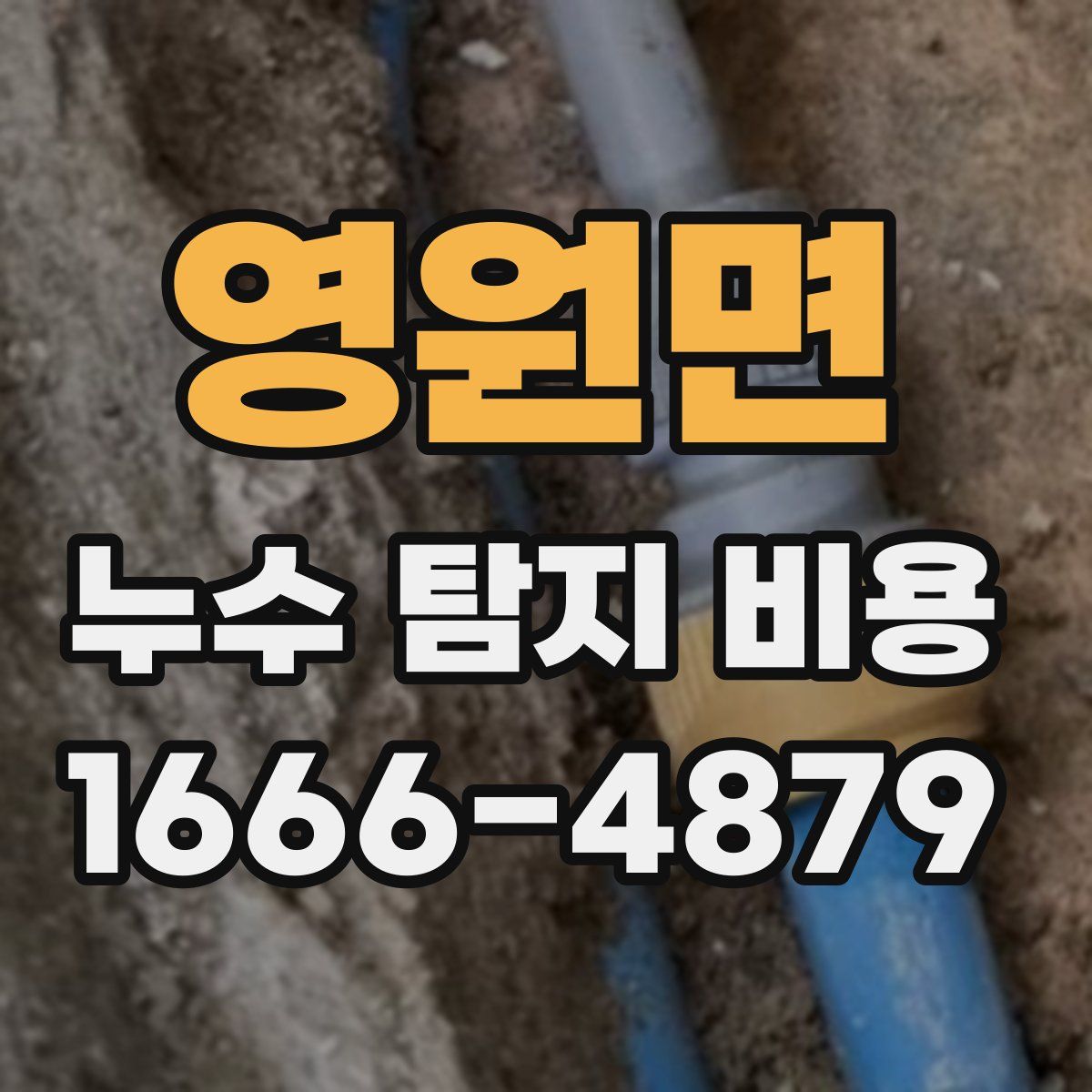 영원면 누수 탐지 비용