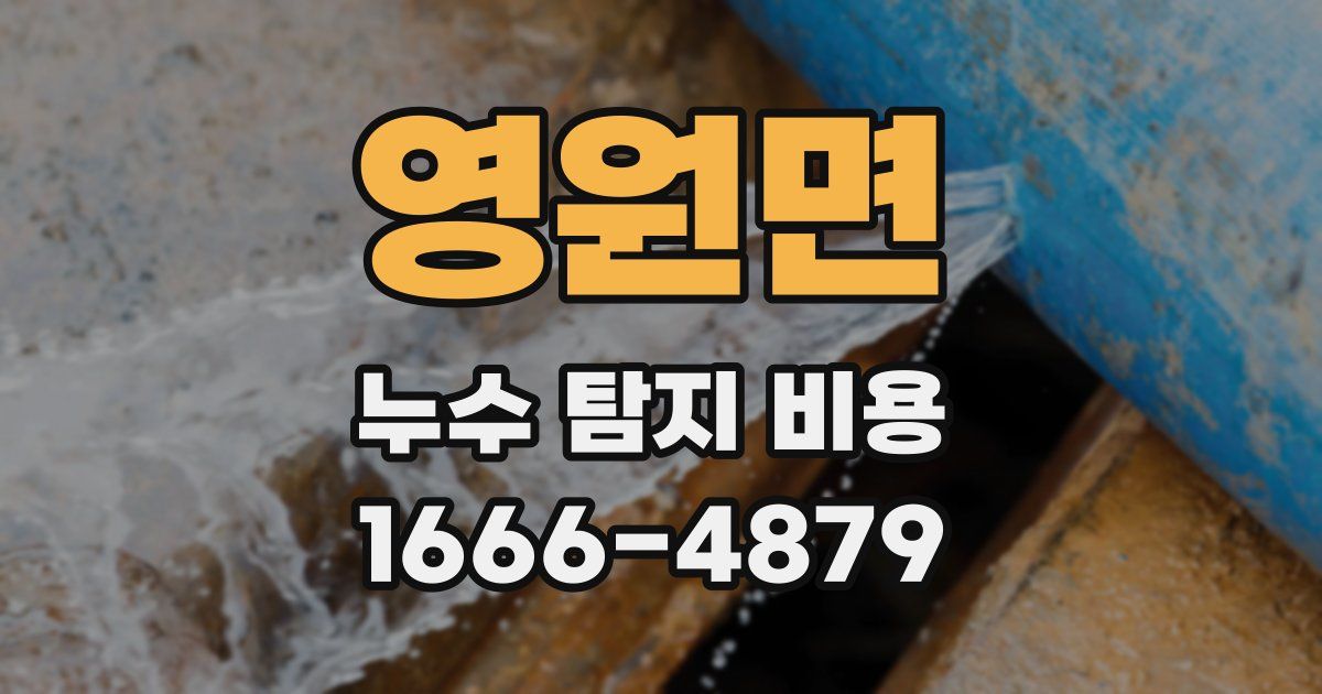 영원면 누수 탐지 비용