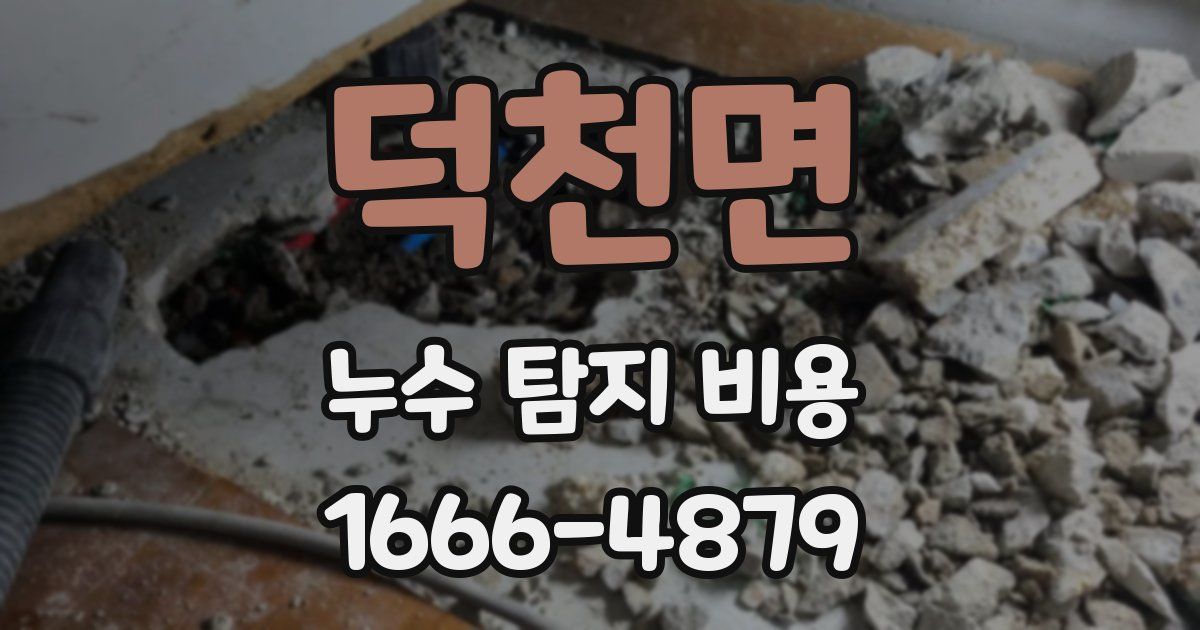 덕천면 누수 탐지 비용