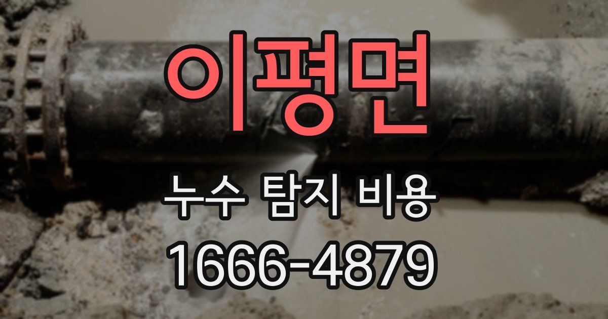 이평면 누수 탐지 비용