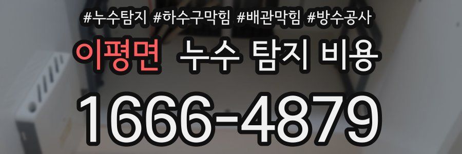 이평면 누수 탐지 비용