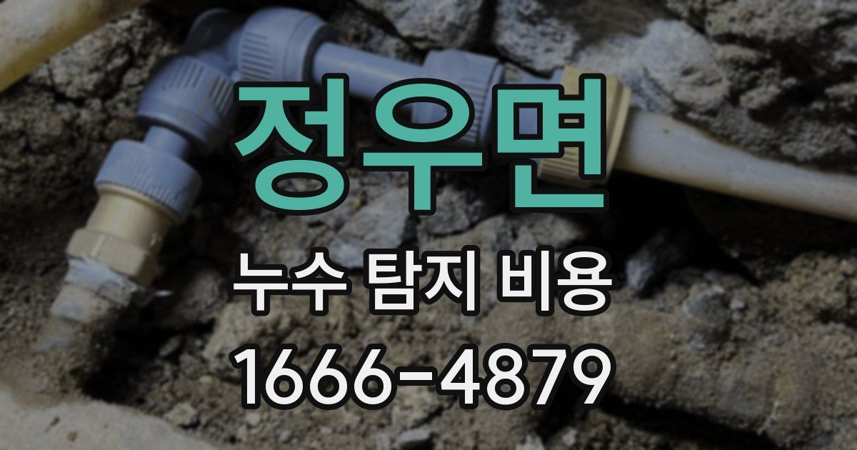 정우면 누수 탐지 비용