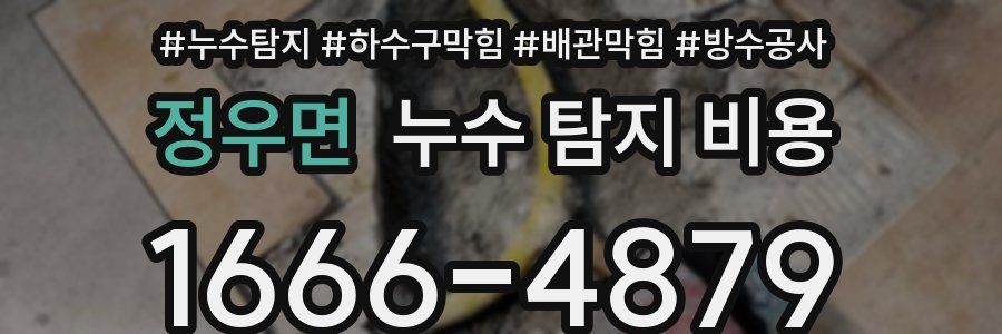 정우면 누수 탐지 비용