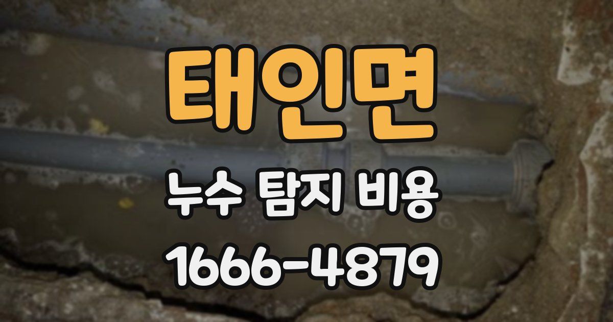 태인면 누수 탐지 비용