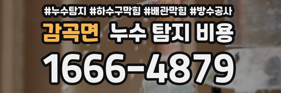 감곡면 누수 탐지 비용
