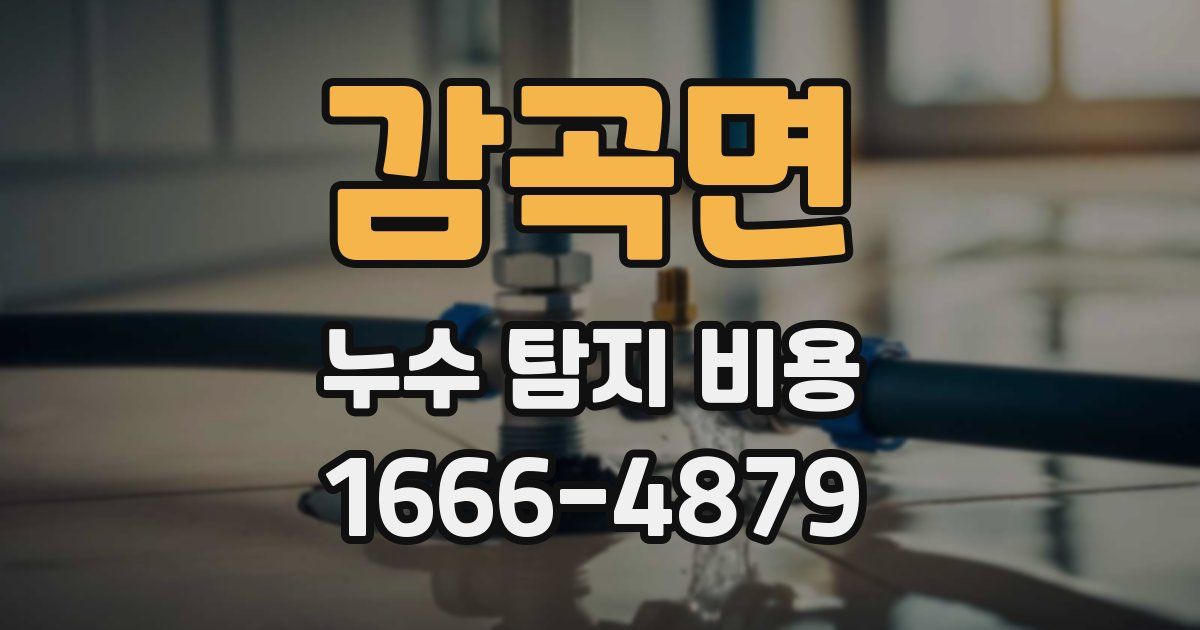 감곡면 누수 탐지 비용