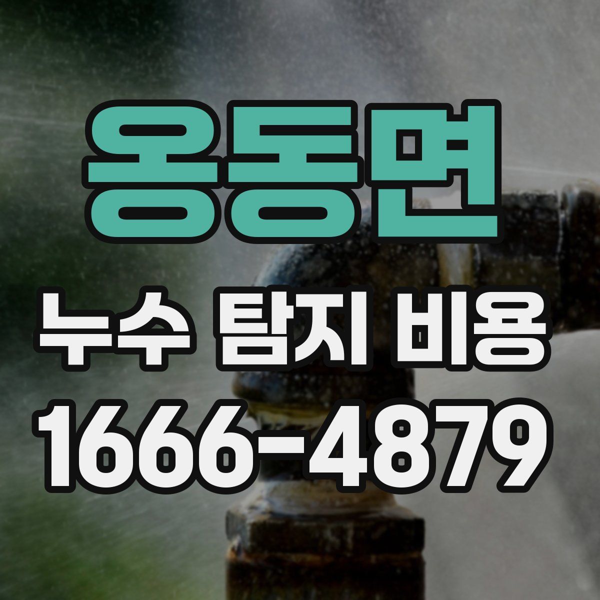 옹동면 누수 탐지 비용