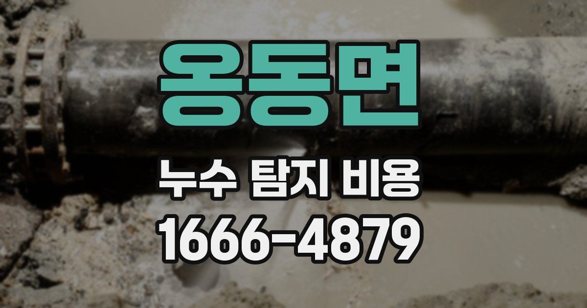 옹동면 누수 탐지 비용