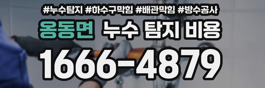 옹동면 누수 탐지 비용