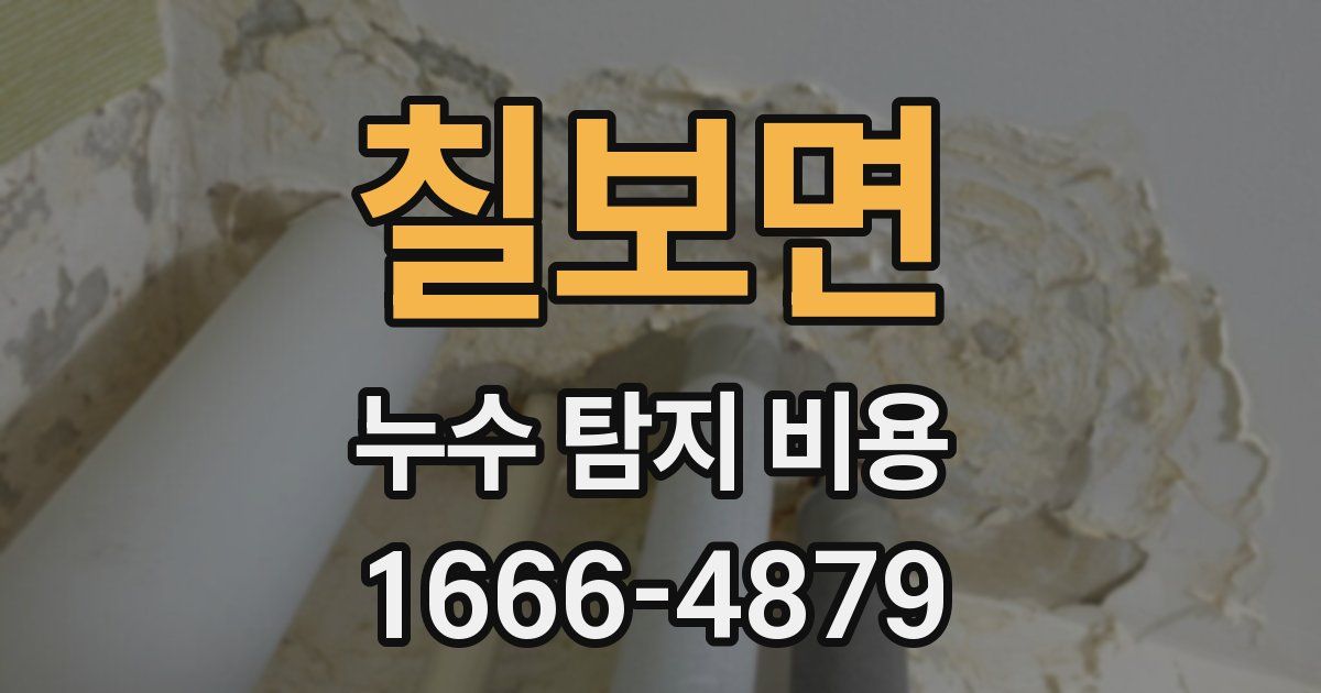 칠보면 누수 탐지 비용