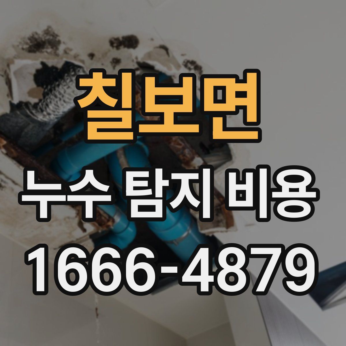 칠보면 누수 탐지 비용