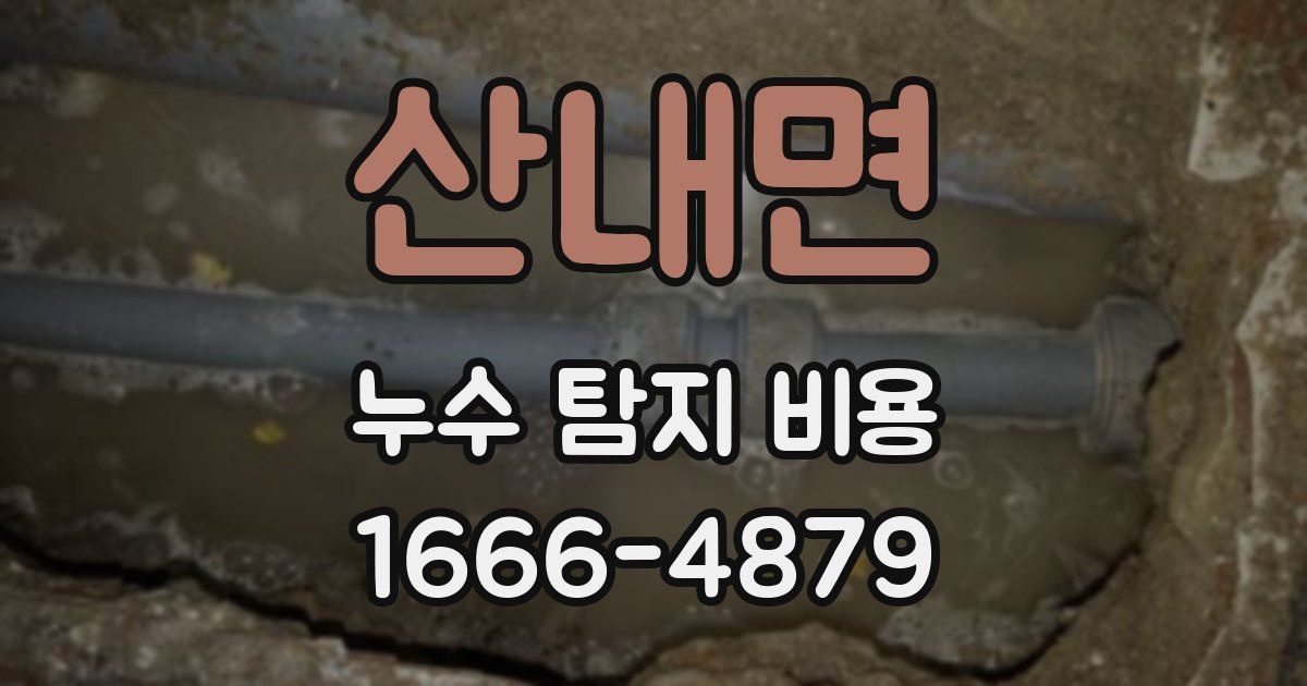 산내면 누수 탐지 비용