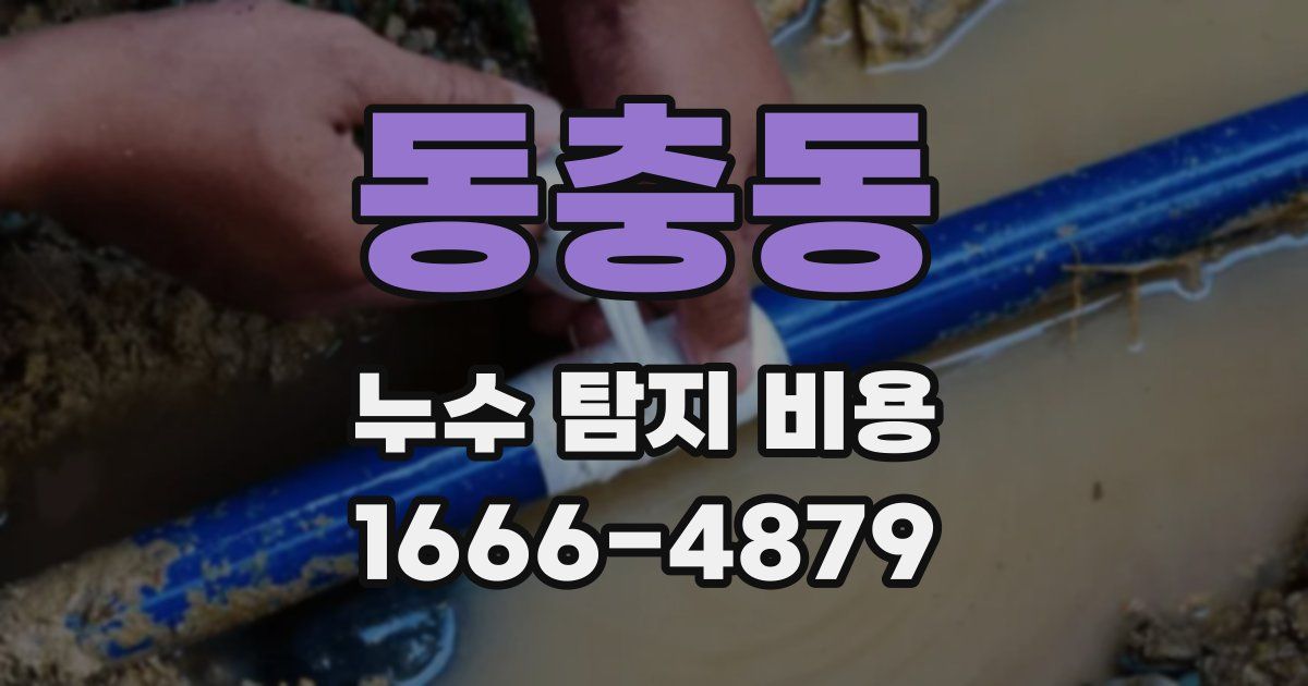 동충동 누수 탐지 비용