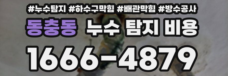동충동 누수 탐지 비용