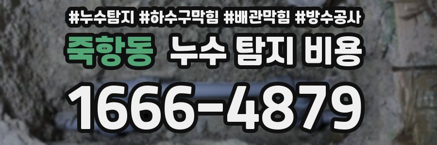 죽항동 누수 탐지 비용