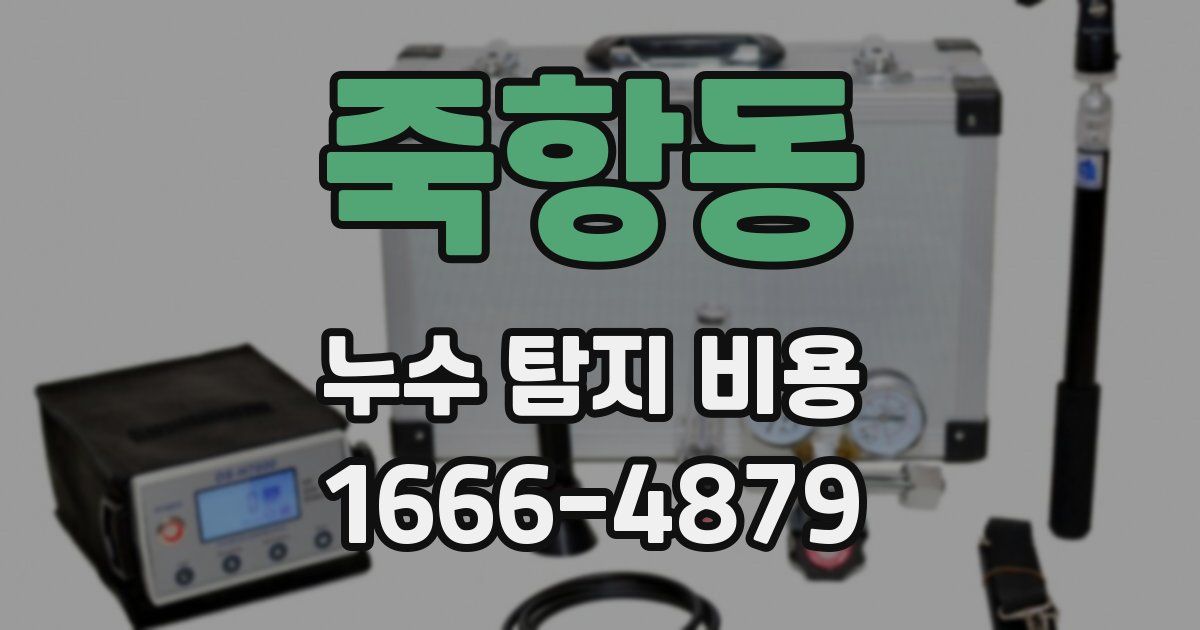 죽항동 누수 탐지 비용