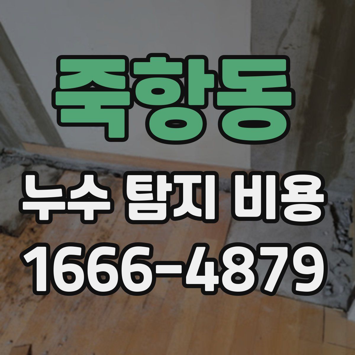 죽항동 누수 탐지 비용