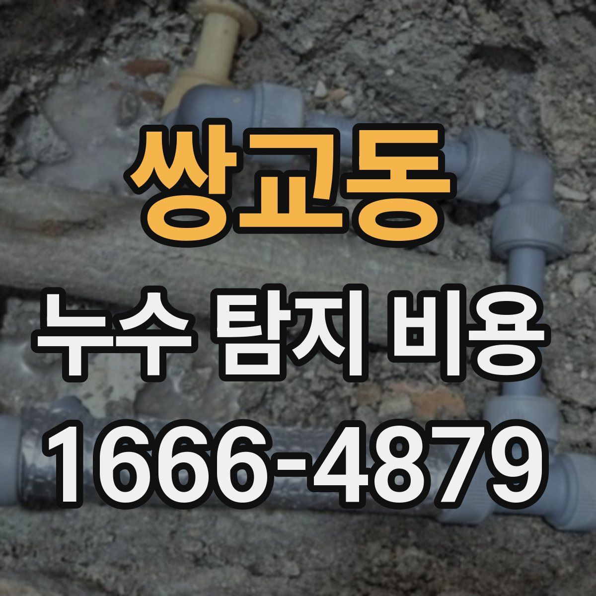 쌍교동 누수 탐지 비용