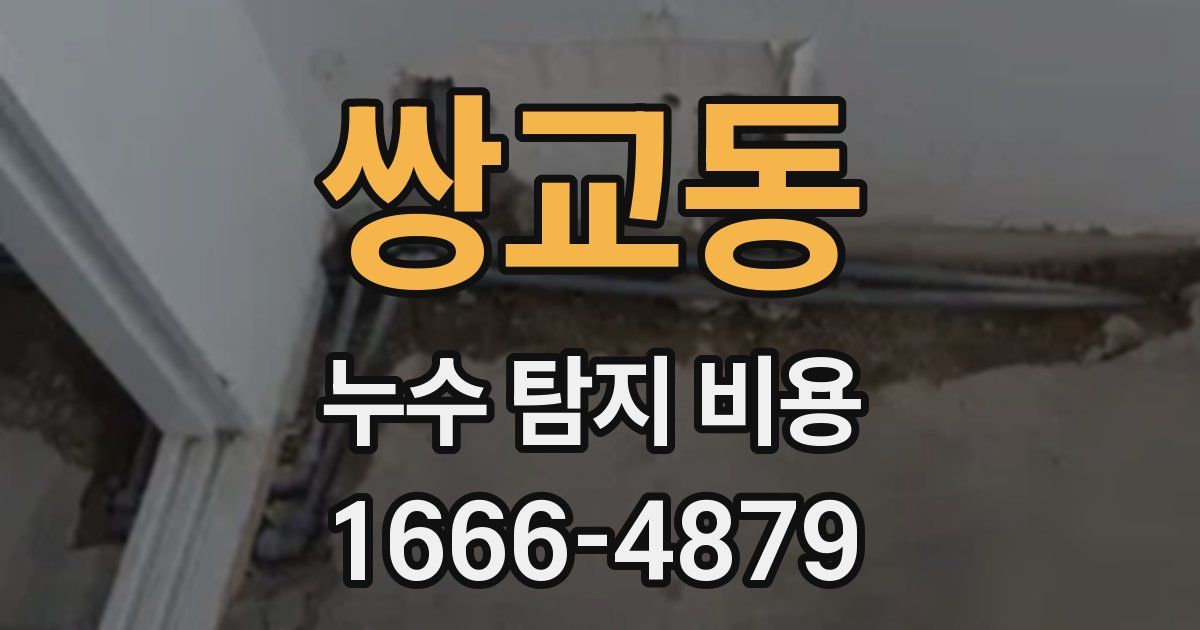 쌍교동 누수 탐지 비용