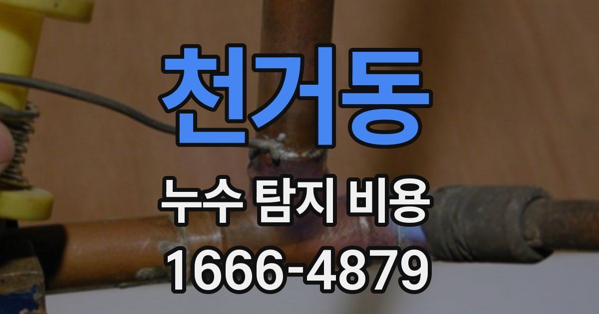 천거동 누수 탐지 비용