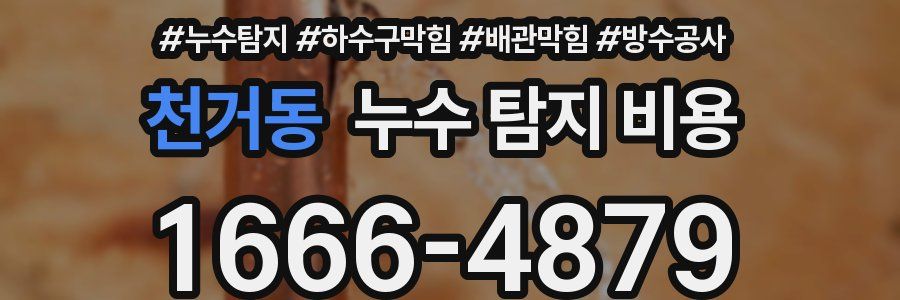 천거동 누수 탐지 비용