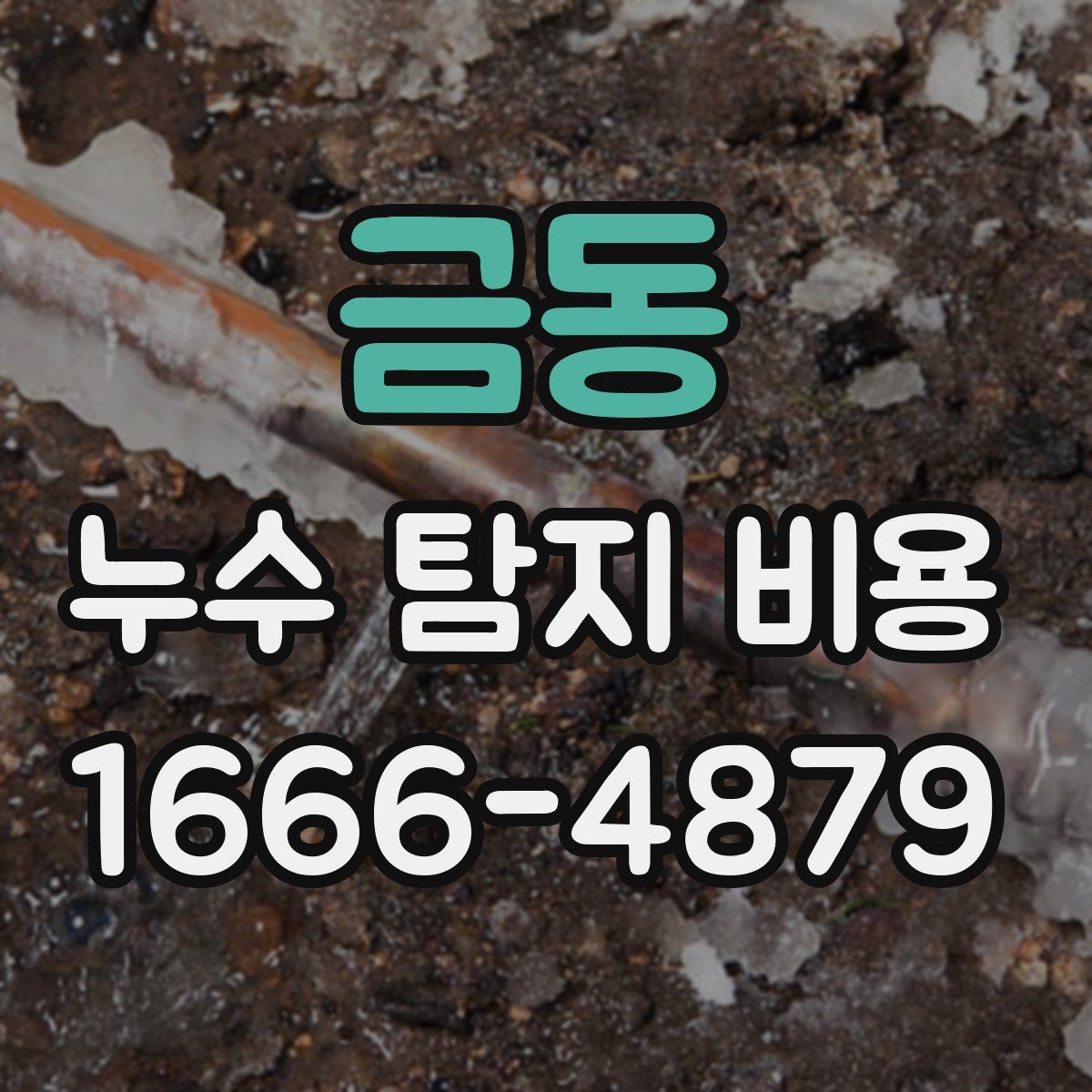 금동 누수 탐지 비용