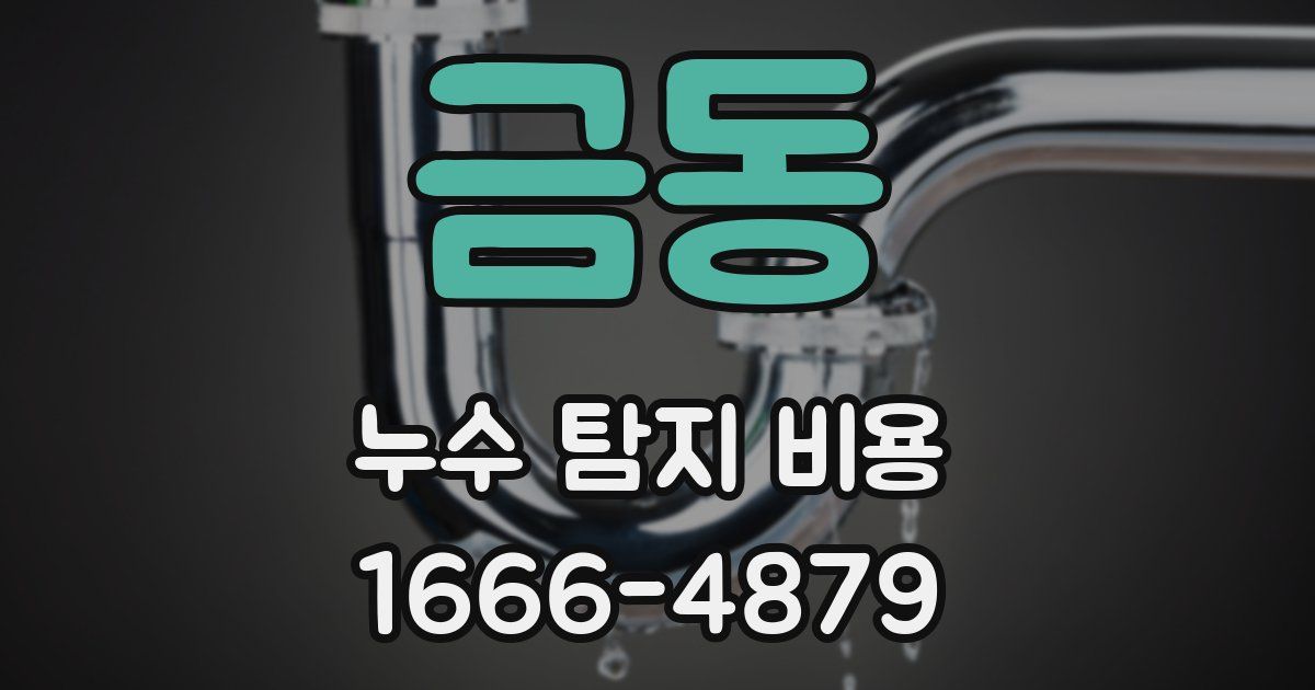 금동 누수 탐지 비용