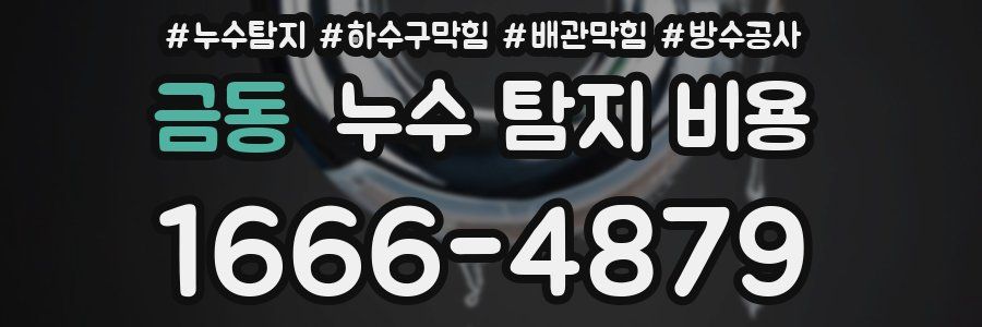 금동 누수 탐지 비용