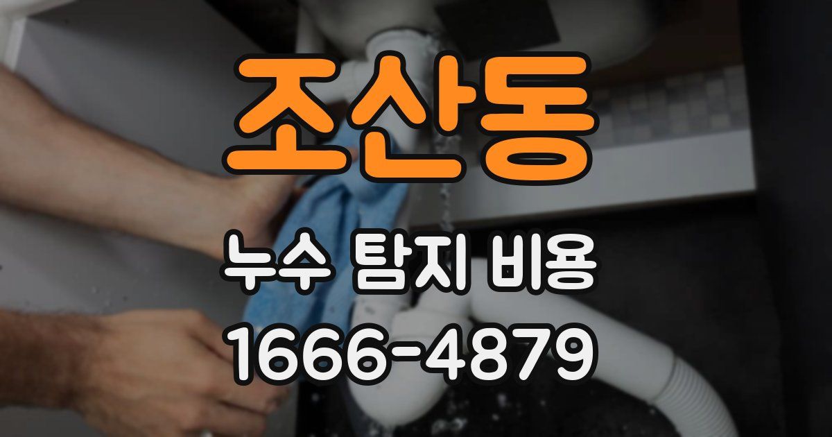 조산동 누수 탐지 비용