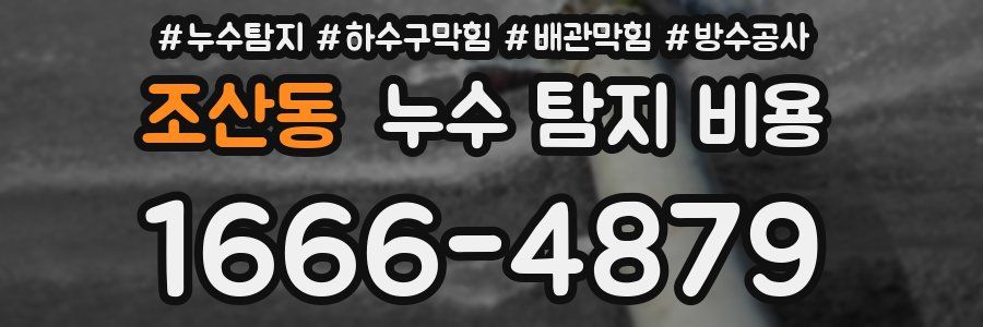 조산동 누수 탐지 비용
