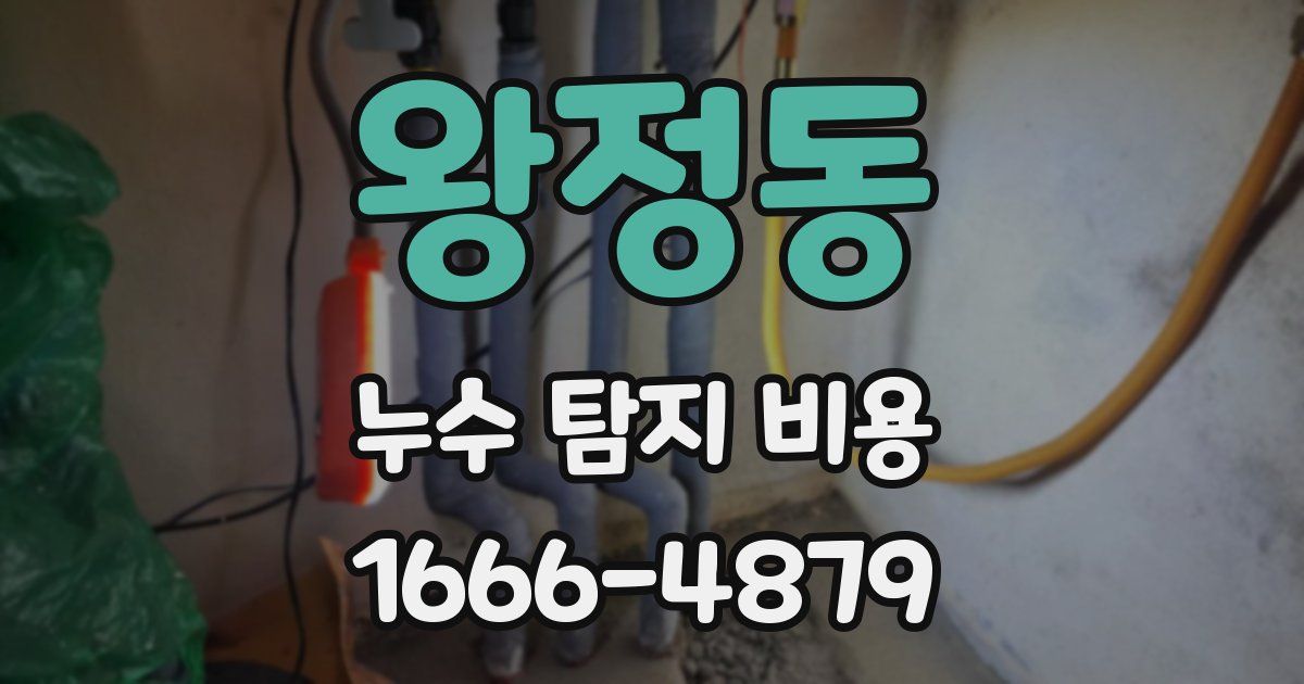 왕정동 누수 탐지 비용