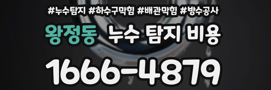 왕정동 누수 탐지 비용