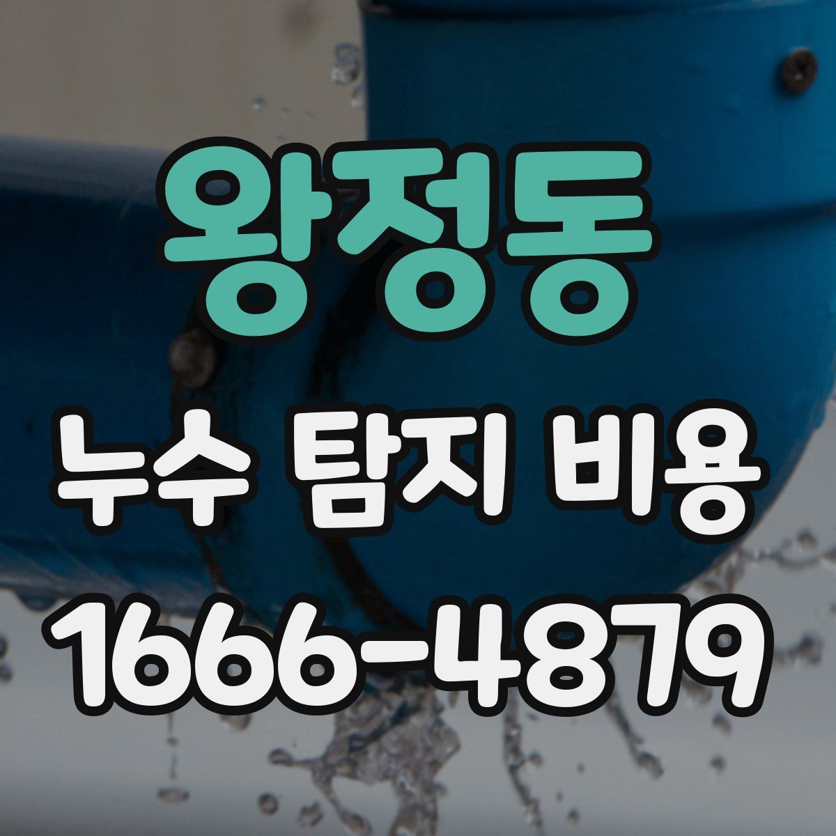 왕정동 누수 탐지 비용