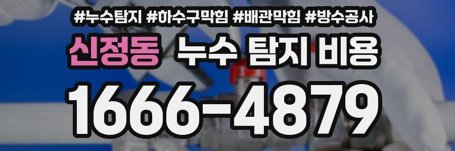 신정동 누수 탐지 비용