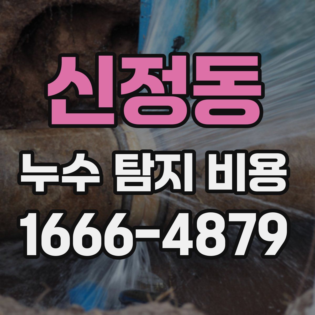 신정동 누수 탐지 비용